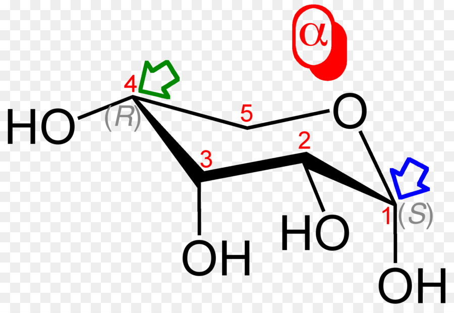 Glycosidic Bond，糖 PNG