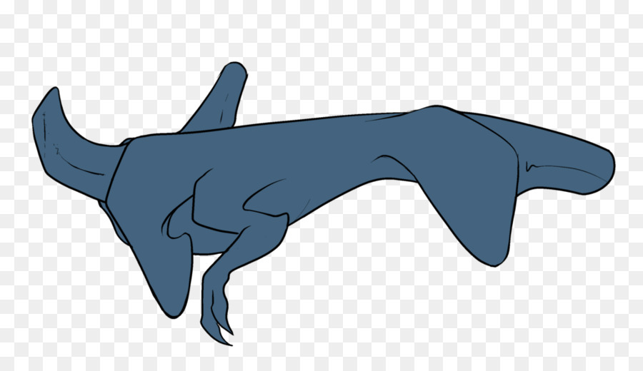 القرش المطرقة，القرش PNG