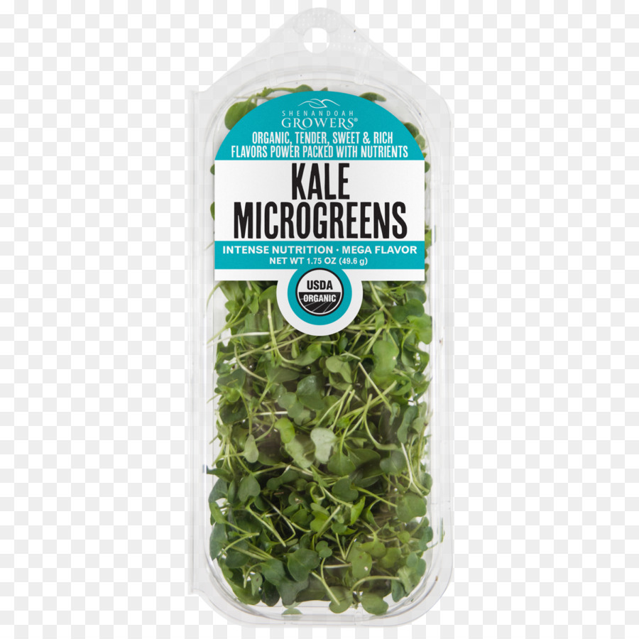 الربيع الخضر，Microgreen PNG