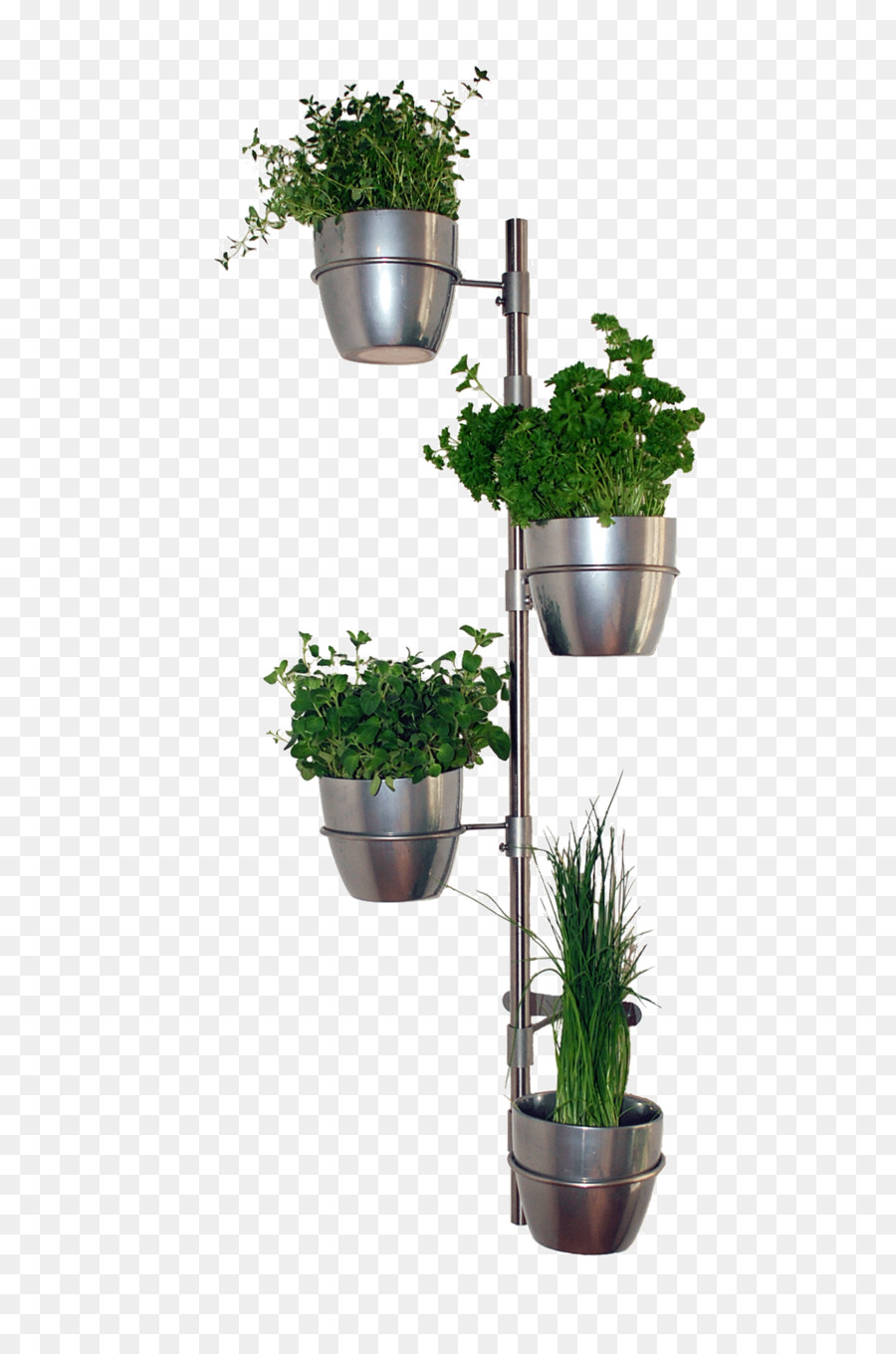 زهور，ل Houseplant PNG