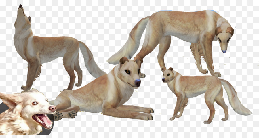 Lurcher，الكلب السلوقي PNG