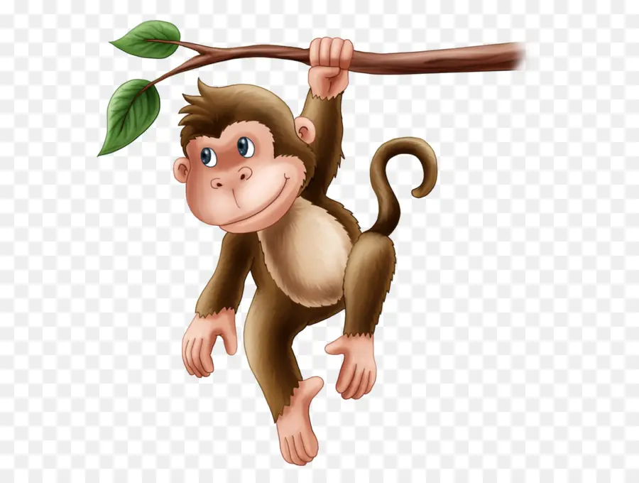 القرد，الرئيسيات PNG