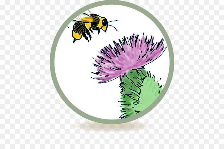 عسل النحل，كريم PNG