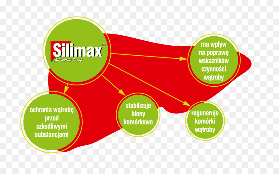 الأدوية الصيدلانية，Silimarina PNG