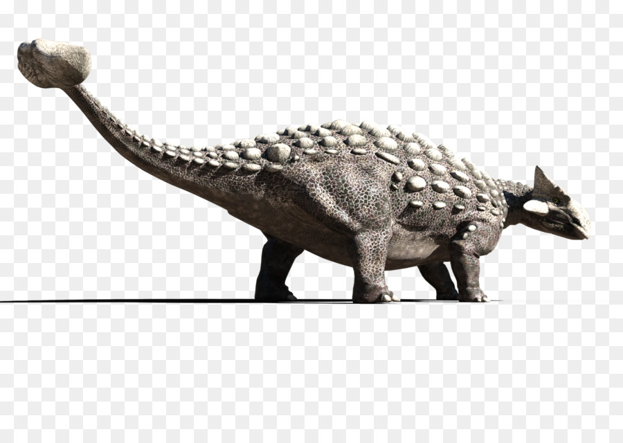 الديناصور，Ankylosaurus PNG