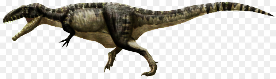 الديناصور，Giganotosaurus PNG