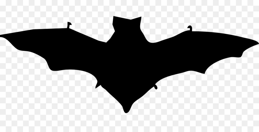 الخفافيش，صورة ظلية ، PNG