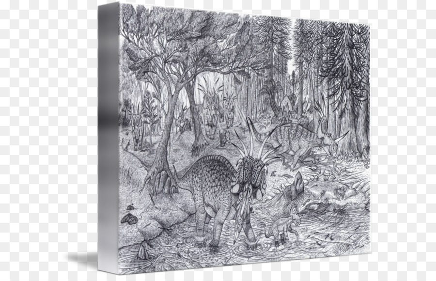 الرسم，Styracosaurus PNG