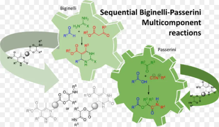 Biginelli رد فعل，متعدد المكونات رد فعل PNG