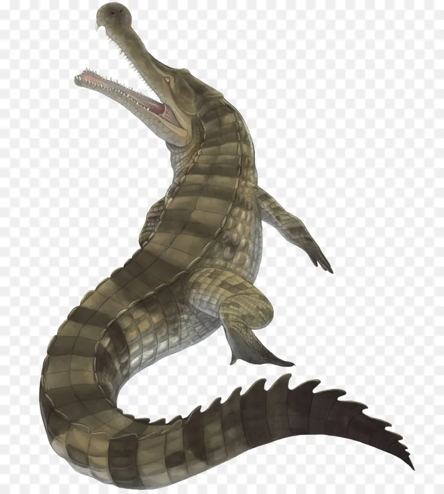 التمساح，Sarcosuchus PNG