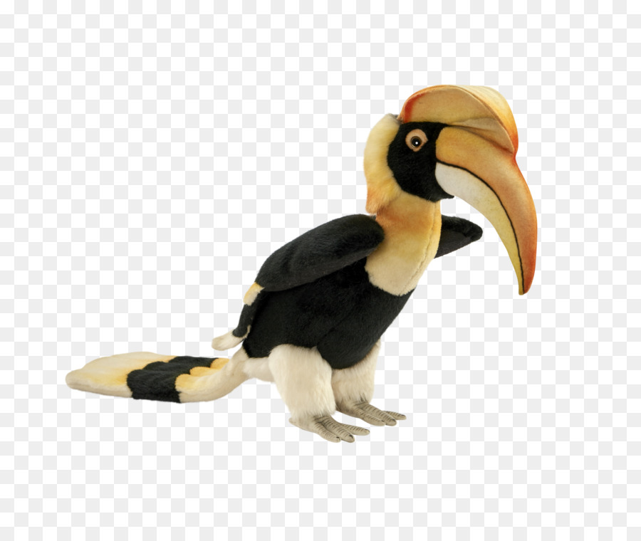 الطوقان，و Hornbill PNG