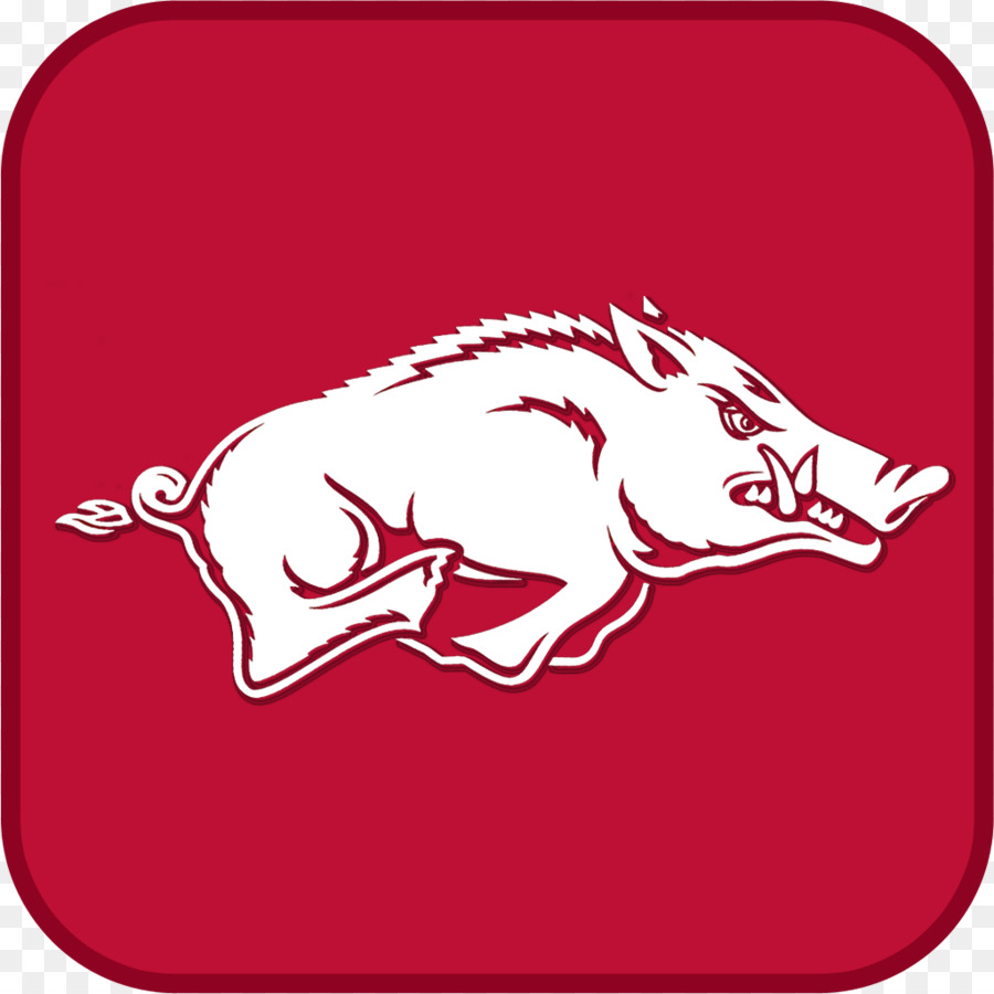 أركنساس Razorbacks كرة القدم，أركنساس Razorbacks كرة السلة للرجال PNG