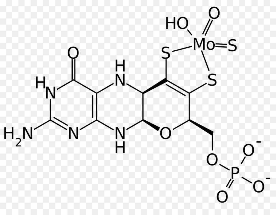 هيدروكسيلاز التيروزين，الكيمياء PNG