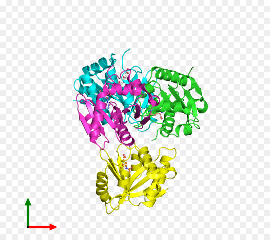 هيكل البروتين，جزيء PNG