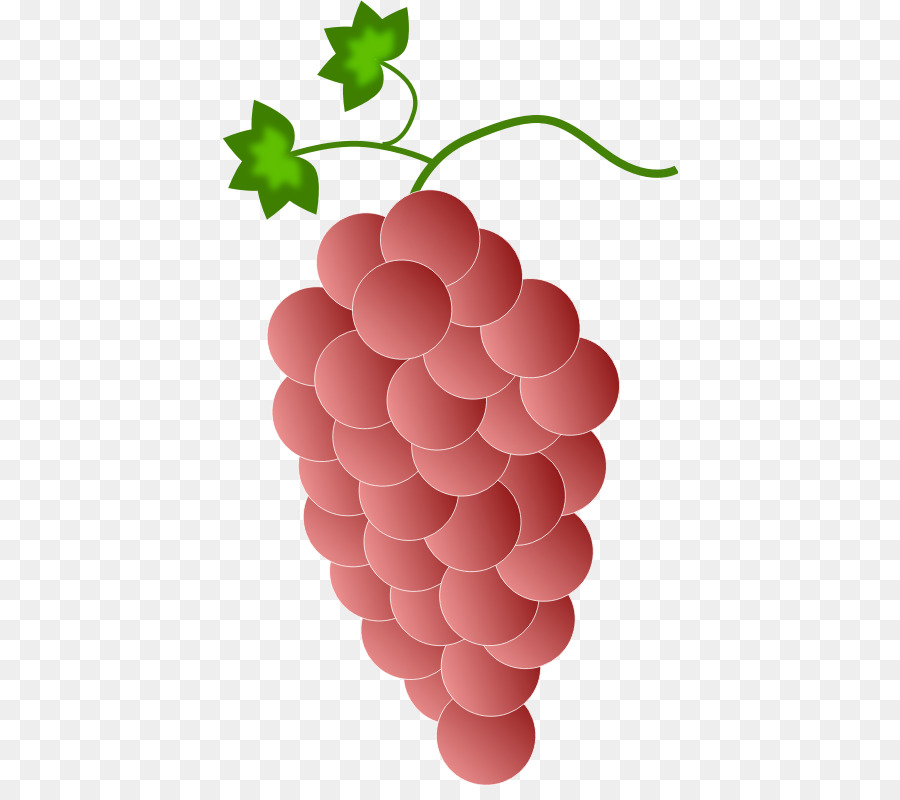 المشتركة كرمة العنب，النبيذ PNG
