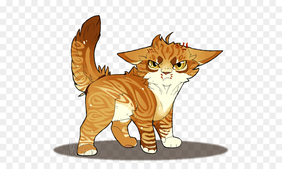 American Wirehair，شعيرات PNG