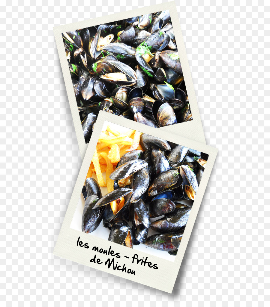 بلح البحر，Moulesfrites PNG