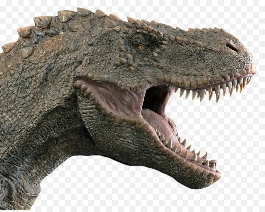 الديناصور，سبينوصور PNG