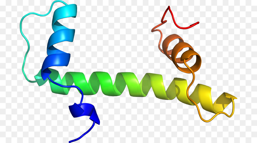 بروتين هيليكس，جزيء PNG