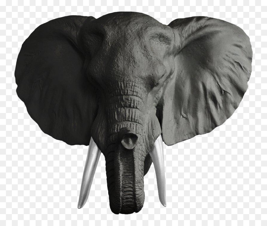 الفيل الهندي，فيل أفريقي PNG