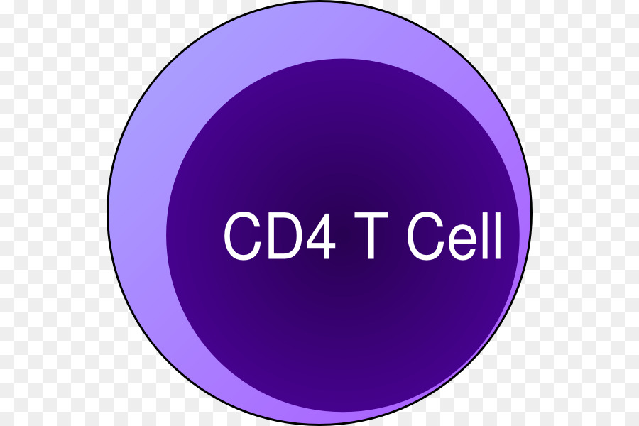 خلية Cd8 T，منيع PNG