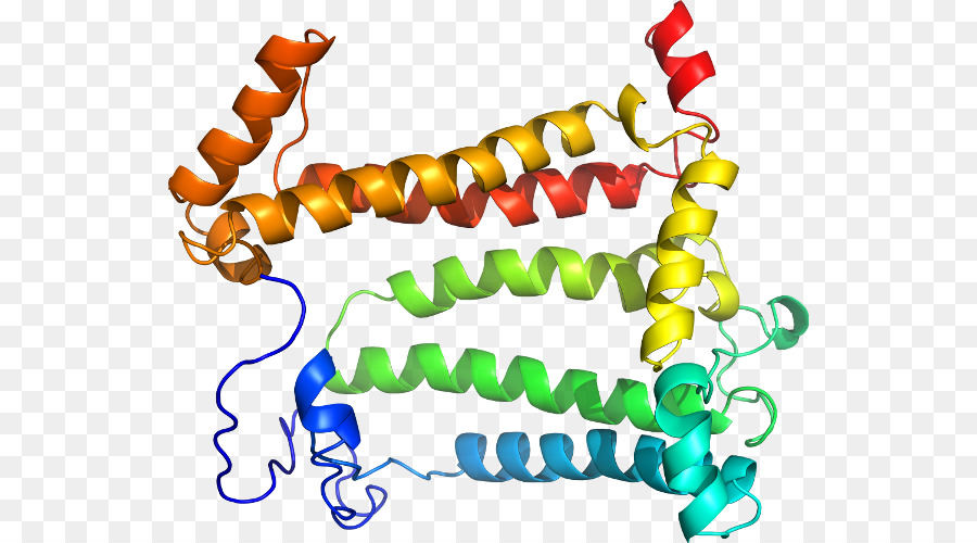 Ap1 عامل النسخ，مجوهرات الجسم PNG