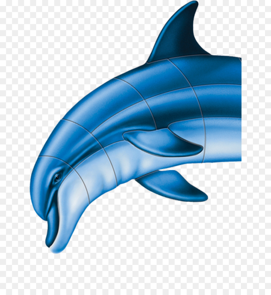 المشتركة للدلافين，Shortbeaked الدلفين الشائع PNG