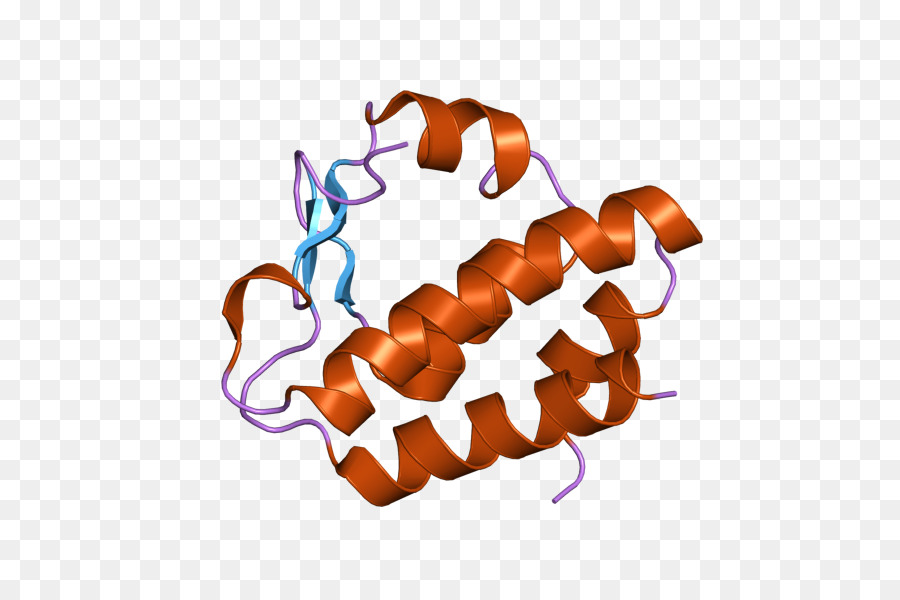 Ngly1，Peptiden4nacetylbetaglucosaminylasparagine Amidase PNG