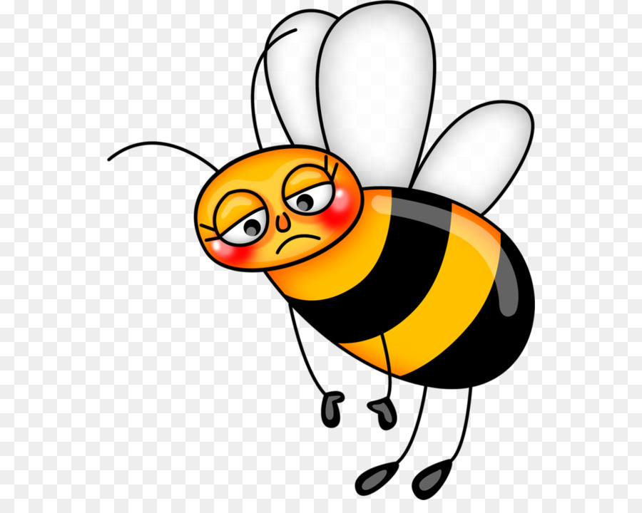 النحل，الحشرات PNG