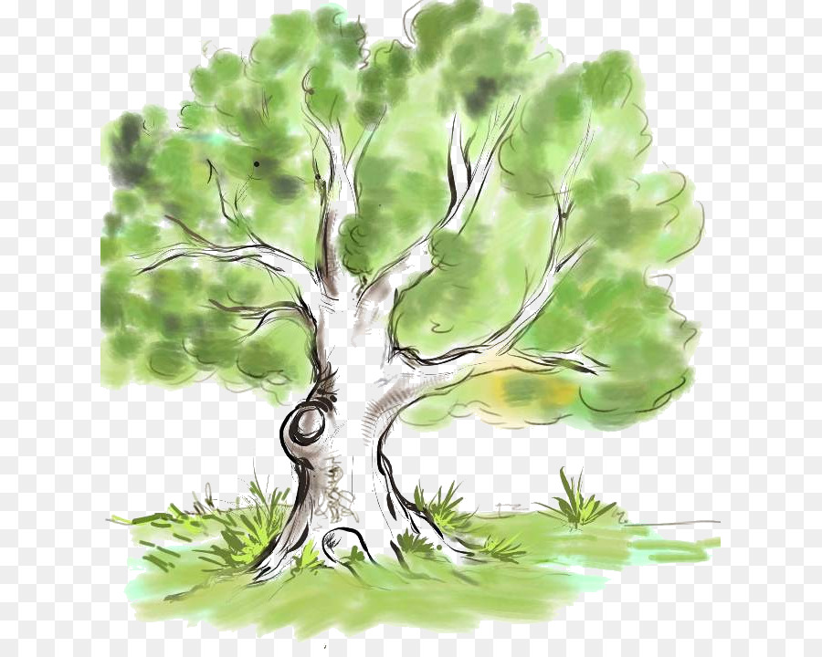 رسم شجرة العائلة بالفوتوشوب Shajara