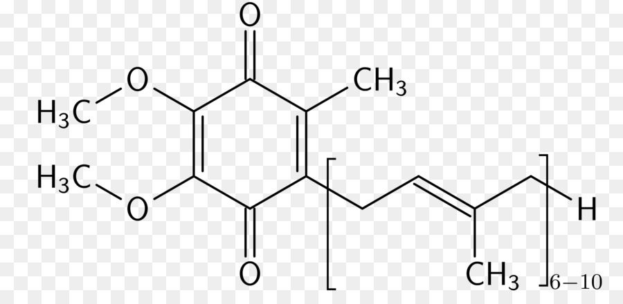 المكملات الغذائية，أنزيم Q10 PNG