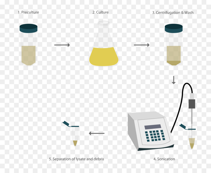 Sonication，الدولية المعدلة وراثيا آلة PNG