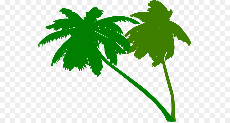 Arecaceae，شجرة PNG