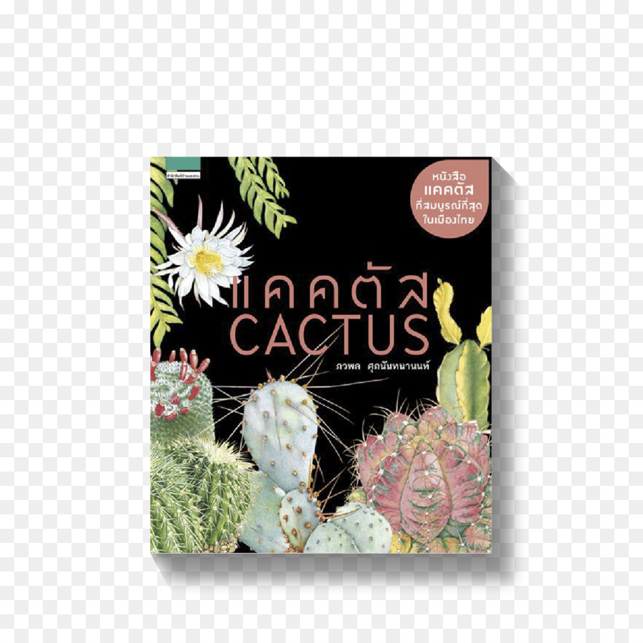 Cactaceae，الكتاب PNG