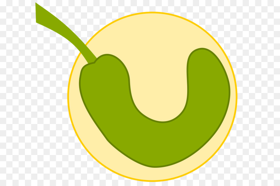الفاكهة，الأخضر PNG