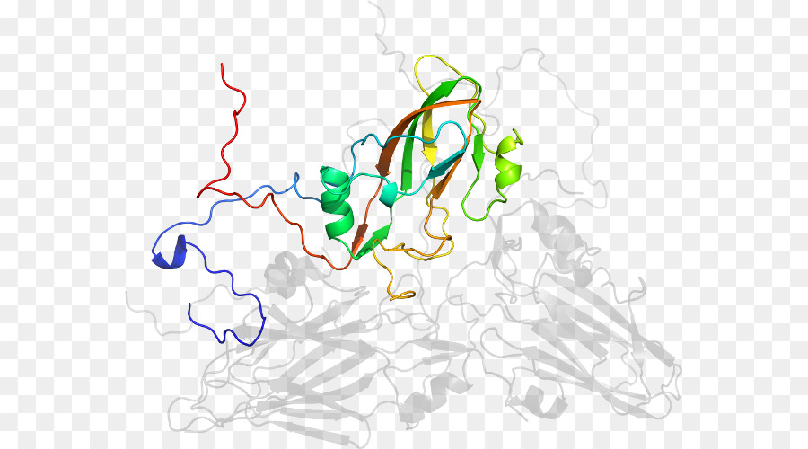 هيكل البروتين，جزيء PNG