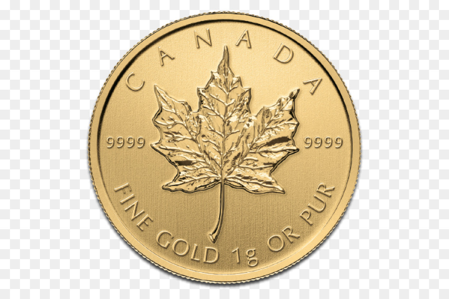 كندا，ورقة القيقب الذهبية الكندية PNG