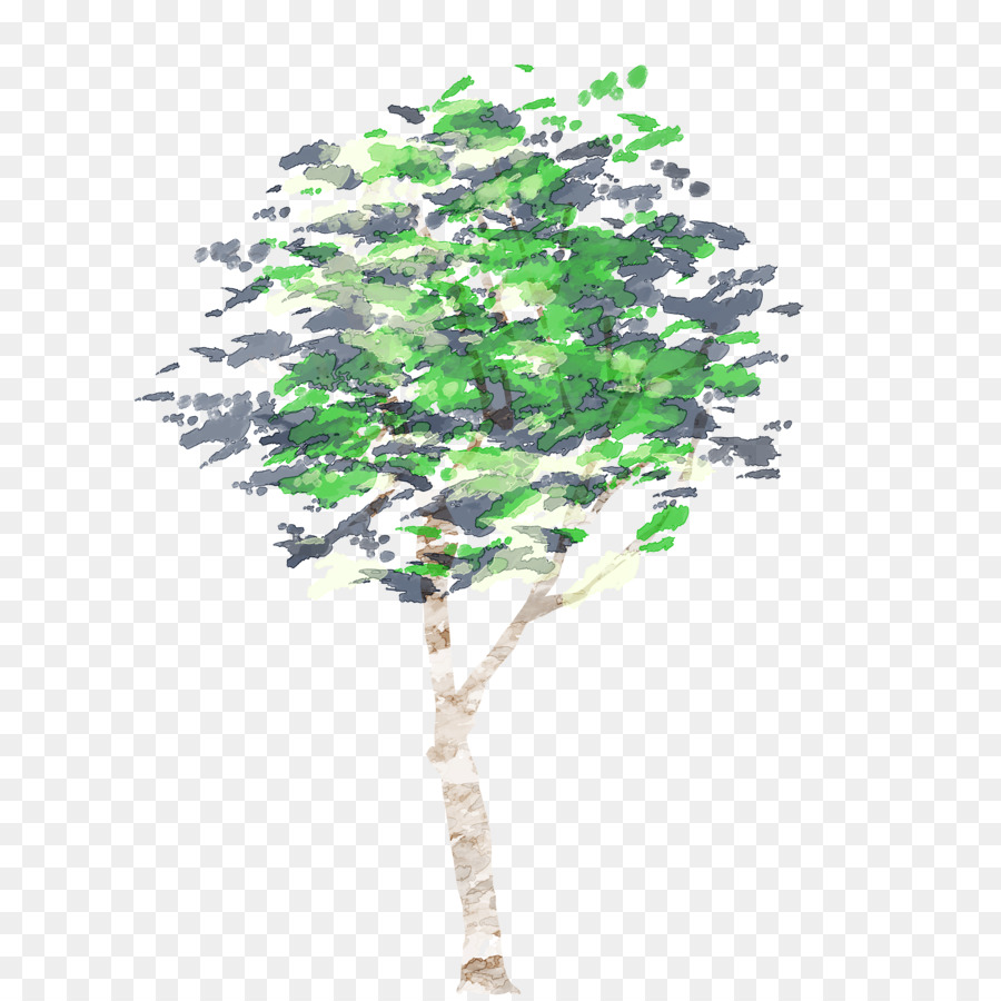 شجرة，الرسم بالألوان المائية PNG