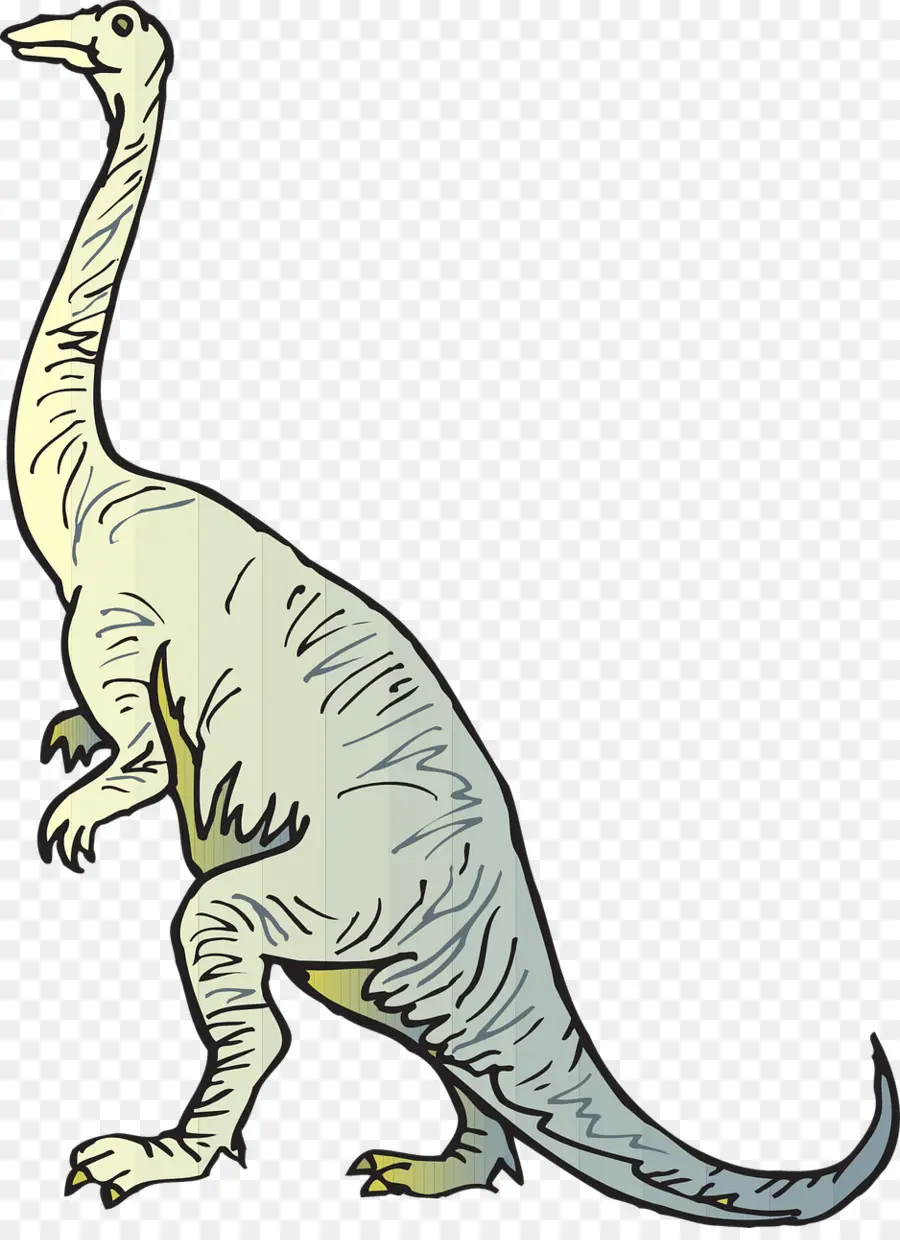 ديبلودوكس，Brachiosaurus PNG