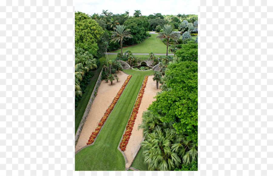 Fairchild Tropical Botanic Garden，حديقة PNG