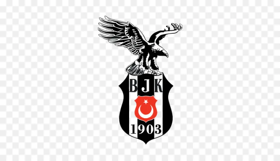 فريق كرة القدم Beşiktaş Jk，فودافون ساحة PNG