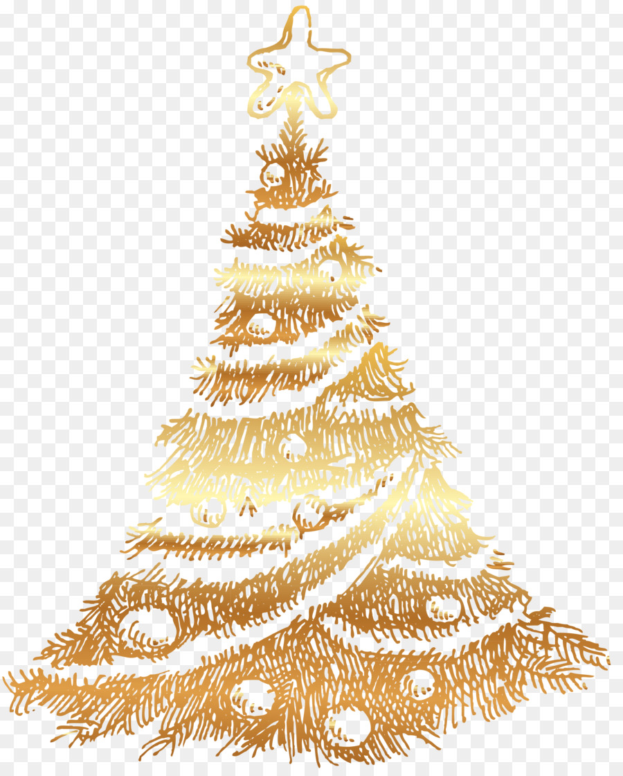 شجرة عيد الميلاد，شجرة التنوب PNG