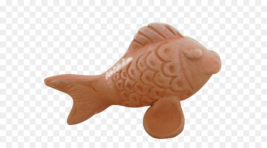 الأسماك，الحيوان الرقم PNG