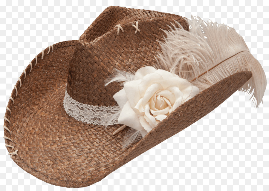 قبعة，Stetson PNG