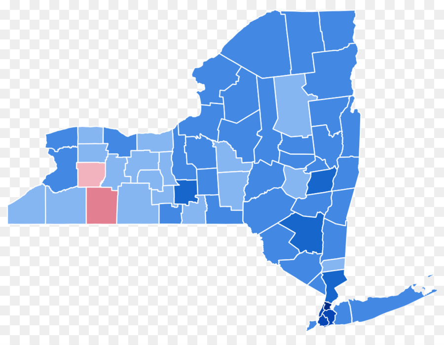مدينة نيويورك，نيويورك انتخابات حكام الولايات 2010 PNG