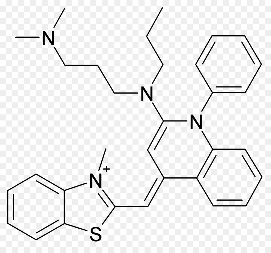 Sybr الأخضر أنا，البيولوجيا الجزيئية PNG