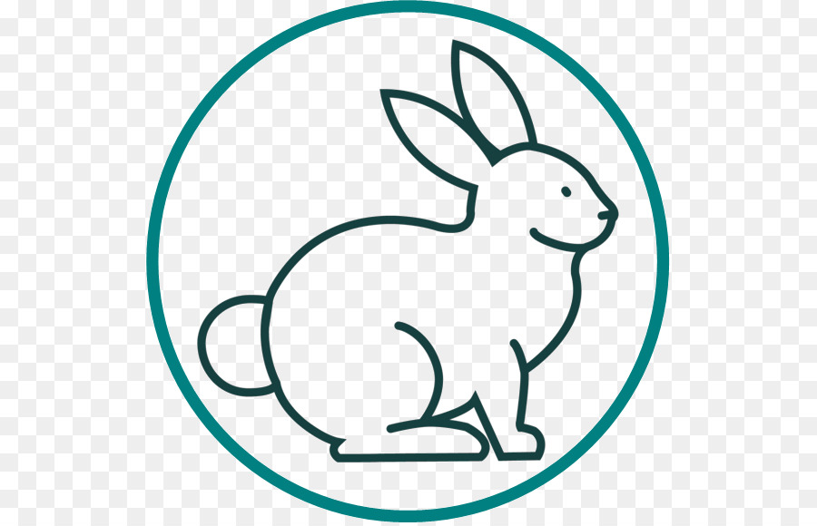 أرنب，رسم PNG