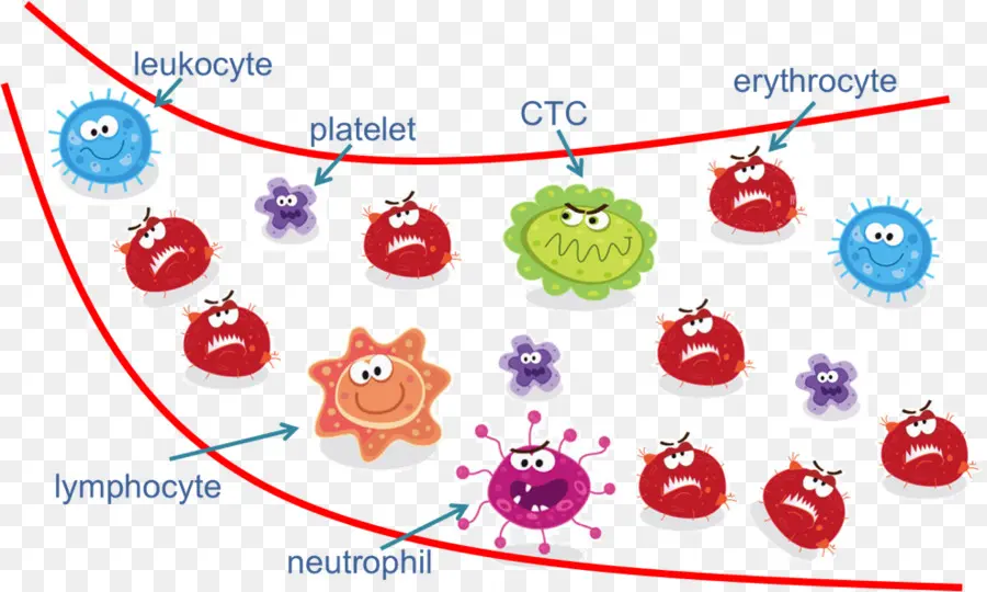 تعميم الخلايا السرطانية，الخلايا السرطانية PNG