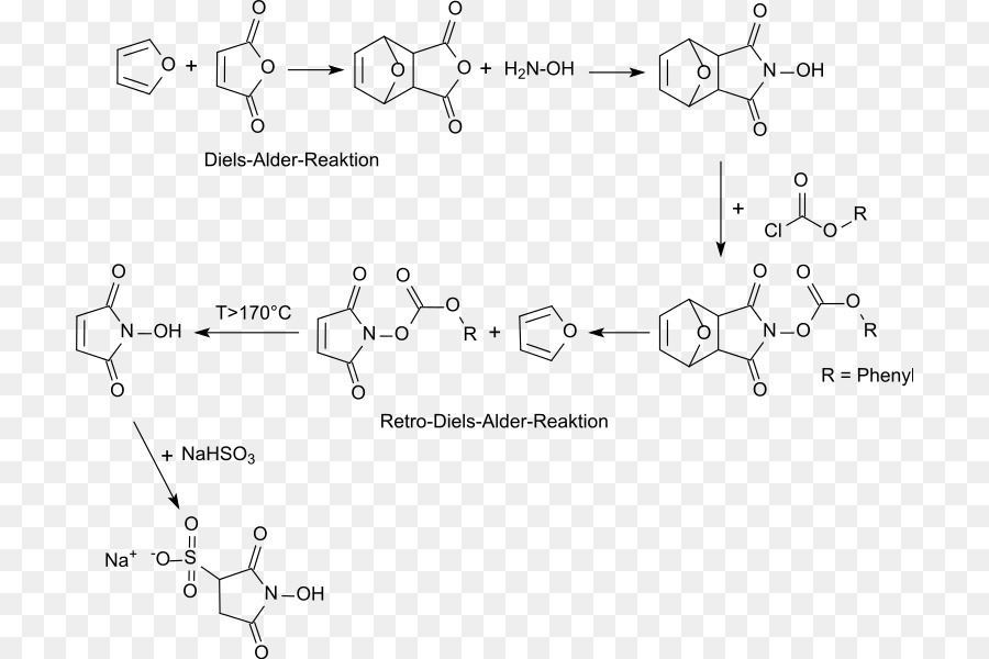 Nhydroxysulfosuccinimide ملح الصوديوم，Nhydroxysuccinimide PNG