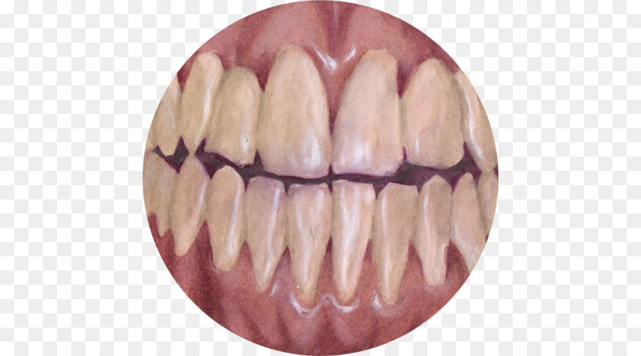 الأسنان，الإنسان الأسنان PNG